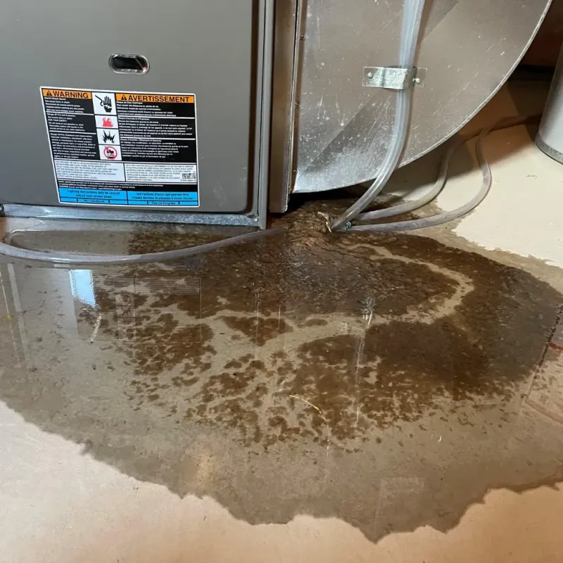 Appliance Leak Cleanup in Batesville, TX